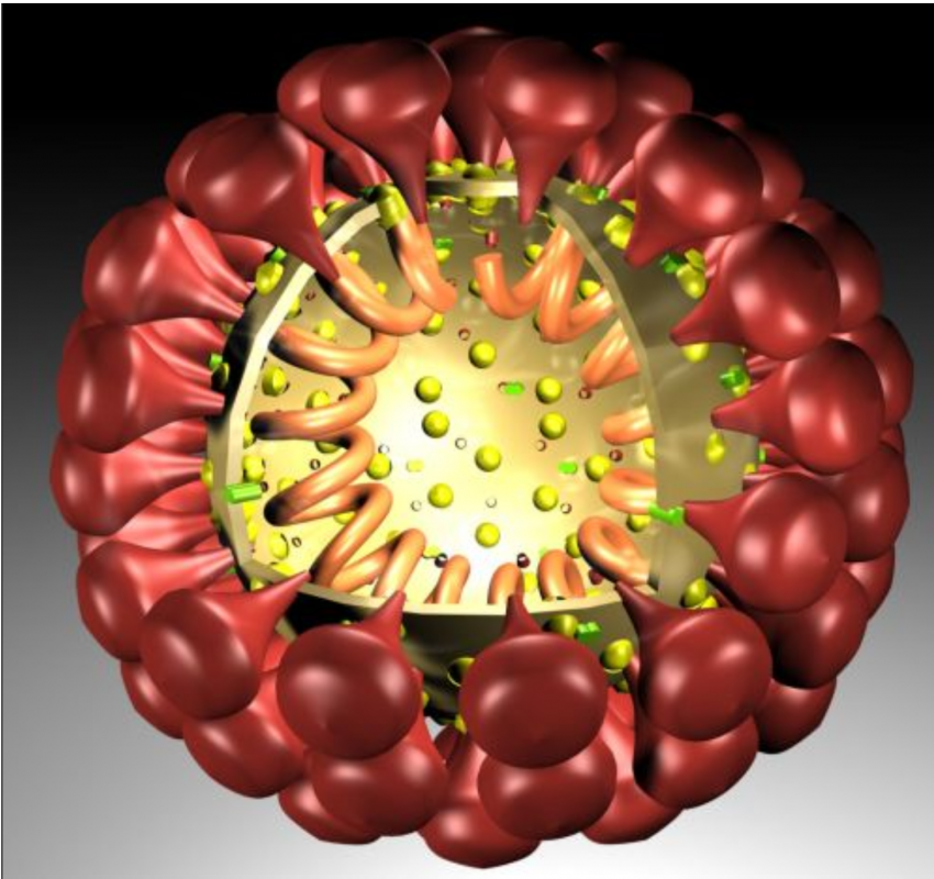 Image virus